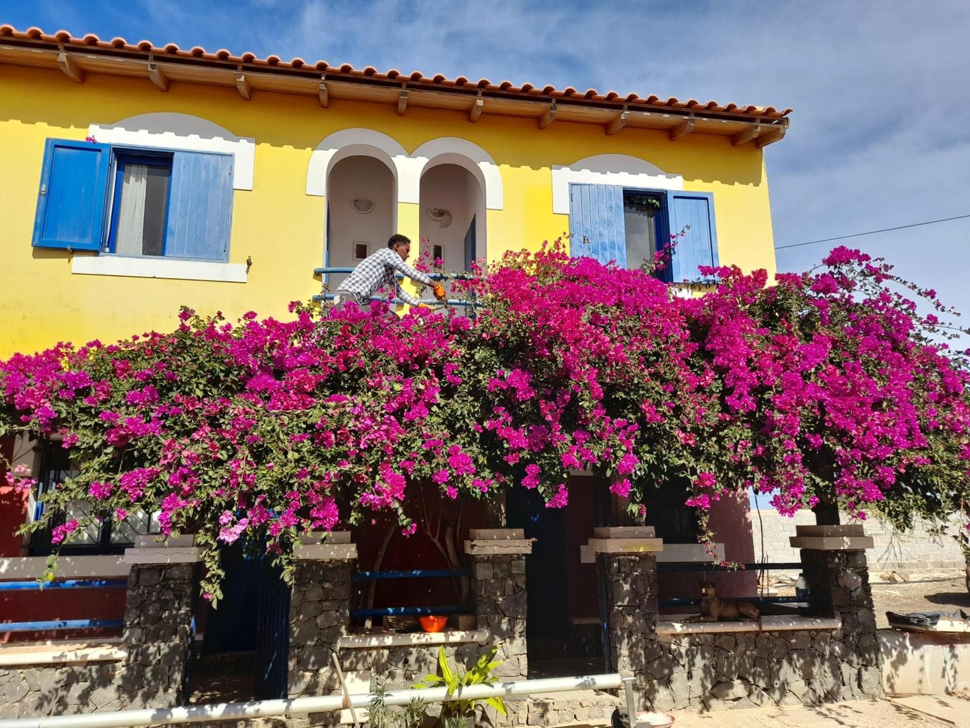 Casa Torre Hotel Palmeira Екстериор снимка